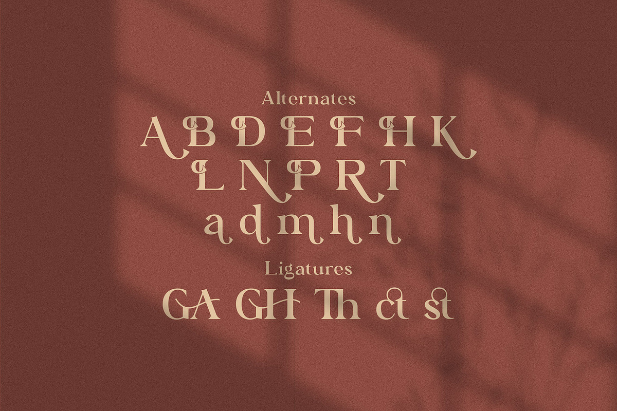 Bagator - Classic Serif Font, a Serif Font by StringLabs (Photo 12 of 12)