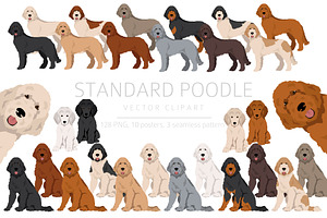 Standard Poodle Clipart