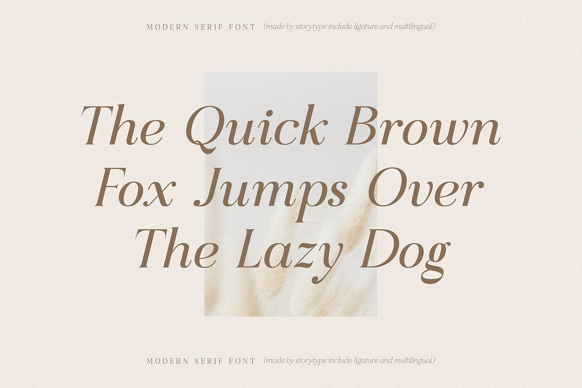 Fonphoria - Modern Serif Font, a Serif Font by Storytype Studio (Photo 2 of 15)