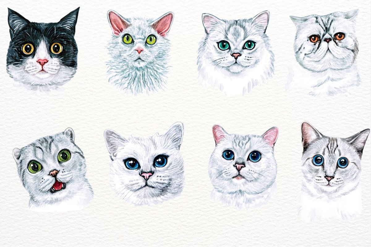 39 Realistic Watercolor Cat Portrait, an Animal Illustration by ArtbyHien (Photo 6 of 8)