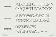 Round Dead - Mix Combination Font, a Serif Font by Flawless And Co (Thumbnail 9 of 10)