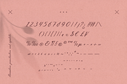 Inola Hand Lettered Font, a Script Font by Wild Ones (Thumbnail 9 of 12)
