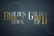 Golden Bird Serif font + Cool Extras, a Serif Font by VP Fonts (Thumbnail 2 of 13)
