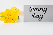 Stickers, a Handwritten Font by FreshTypeINK (Thumbnail 3 of 6)