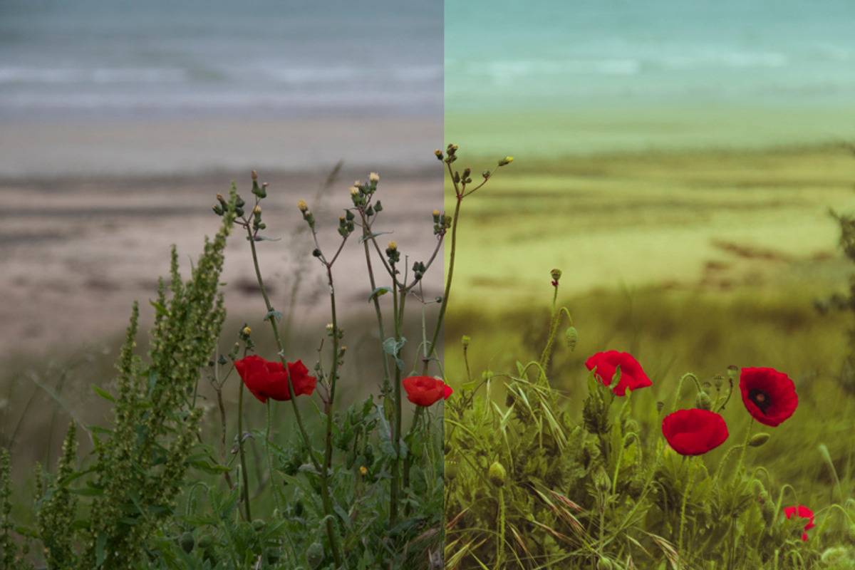 Impressions 10+2 Fineart LR Presets preview 3