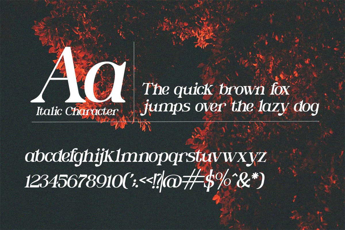 Lubidow – Modern Elegant Serif, a Serif Font by Qweera Studio (Photo 12 of 12)