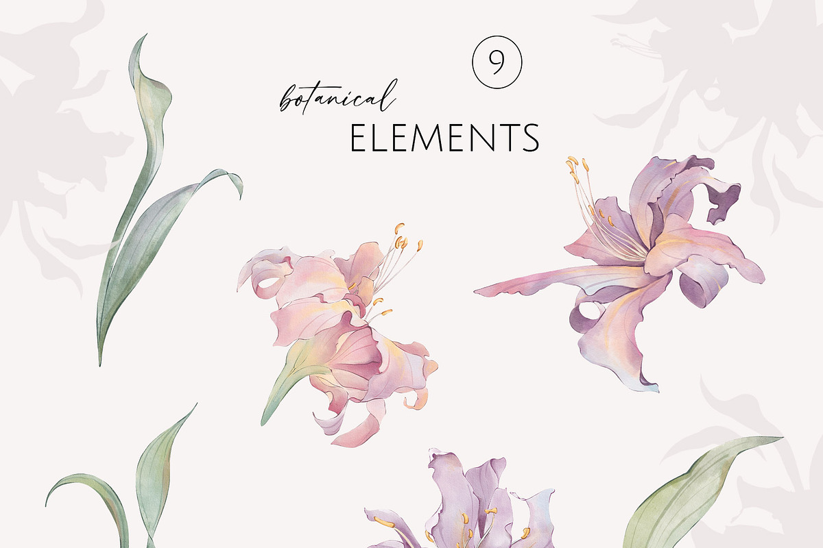 PURPLE LILIES watercolor flowers, a Decorative Illustration by Yuliia Lashevska (Photo 13 of 14)