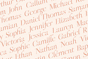OGNES - Modern Ligature Serif Font, a Serif Font by SilverStag Type Foundry (Thumbnail 6 of 9)