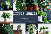 Little Jungle Image Bundle 3, a Nature Photo by Lum3n (Thumbnail 1 of 3)