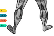 Set of man body anatomical atlases., a Person Illustration by julia_musdotter (Thumbnail 4 of 4)