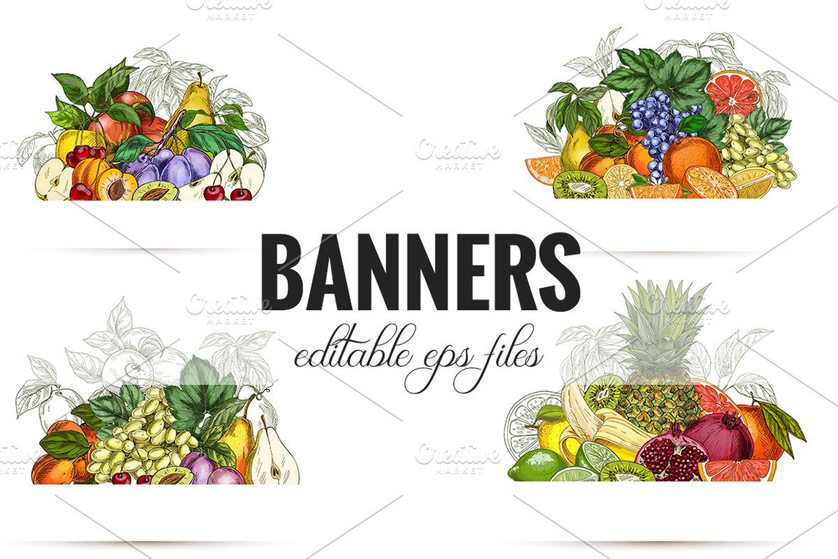 Garden Fruits, vector collection, a Food Illustration by JSolomatina (Photo 5 of 6)