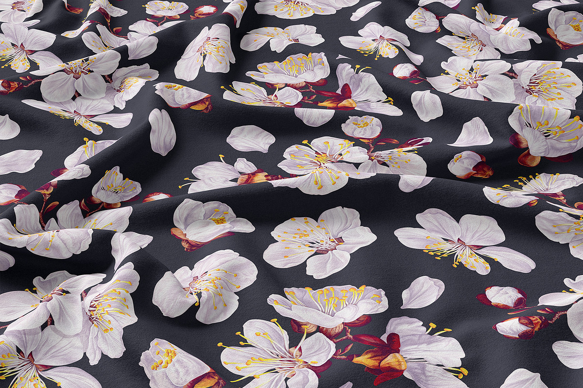Apricot Branches Big Floral Set, an Illustration by MarynaPetrovska (Photo 11 of 23)