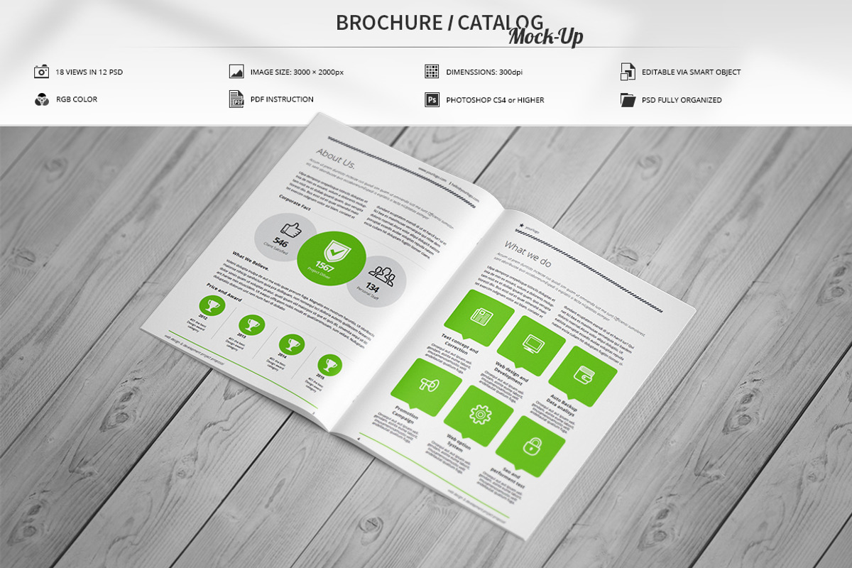 Brochure / Catalog Mock-Up, a Print Template by MassDream (Photo 1 of 20)