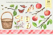 Apple Orchard Watercolor Clipart, a Food Illustration by ElenaValeto (Thumbnail 3 of 13)