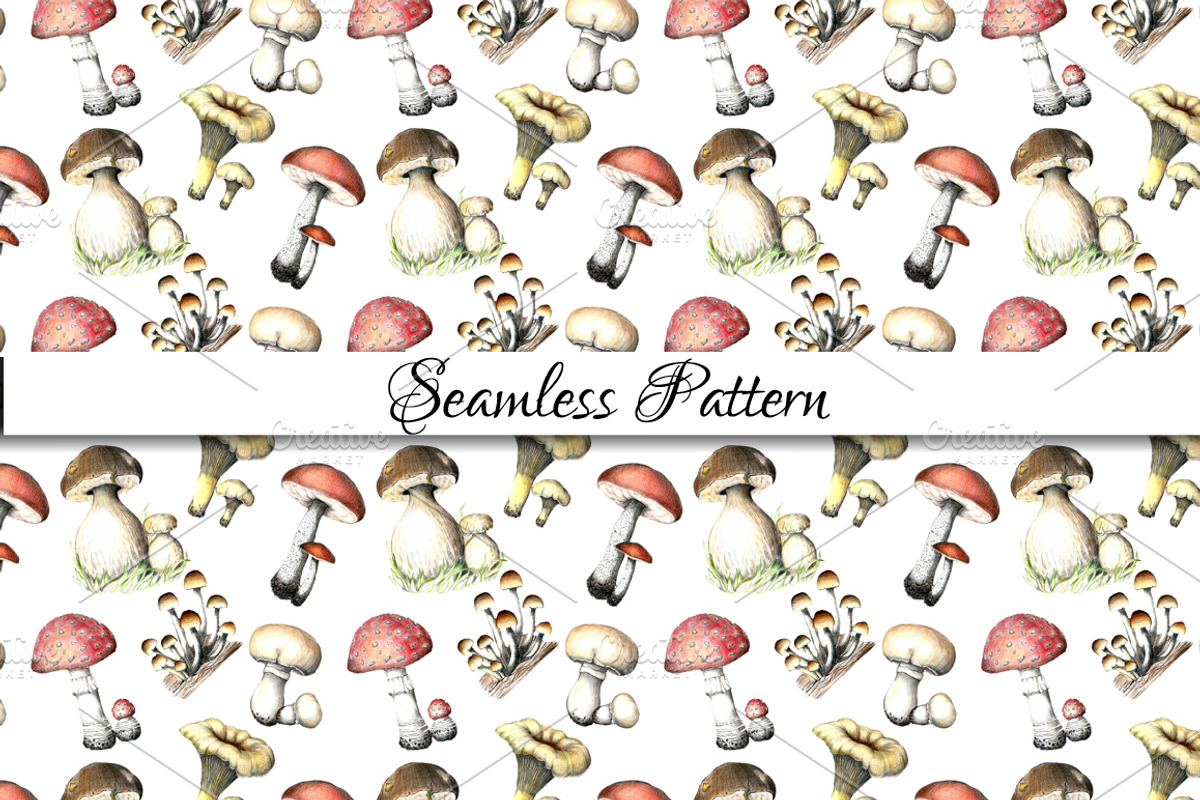 Pencil vintage mushrooms., a Food Illustration by Vikeriya (Photo 5 of 5)
