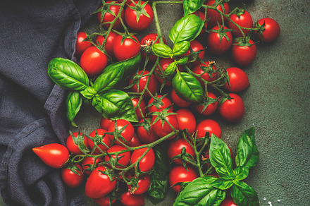 Red cherry tomatoes on branches with green basil and sea salt on, a Food & Drink Photo by 5PH