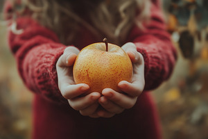Little child holds wild orange apple, a Food & Drink Photo by MistyDay