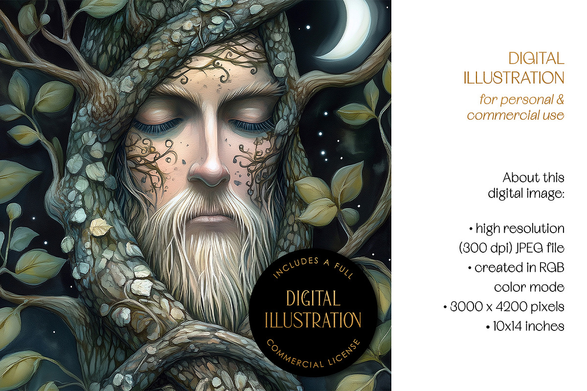 Tree Dryad Digital Illustration, a Person Illustration by The Dutch Lady Designs (Photo 4 of 4)