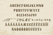 JOAQUIN, a Serif Font by Mozatype (Thumbnail 10 of 11)