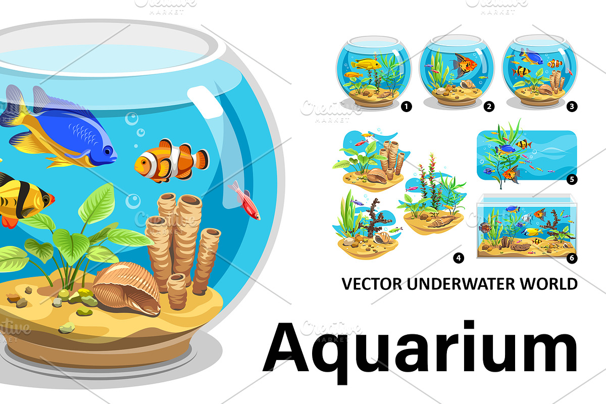 Aquarium, an Animal Illustration by Yulia Ogneva (Photo 1 of 4)