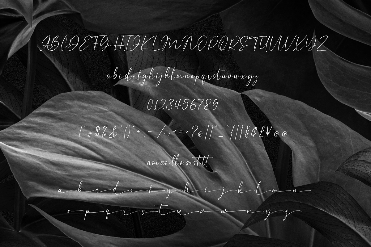 Andaman // Modern Calligraphy Font, a Script Font by Pen Culture (Photo 11 of 12)