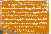 Tropical Crystals Bold Calligraphy, a Script Font by stylishtype.co (Thumbnail 18 of 20)