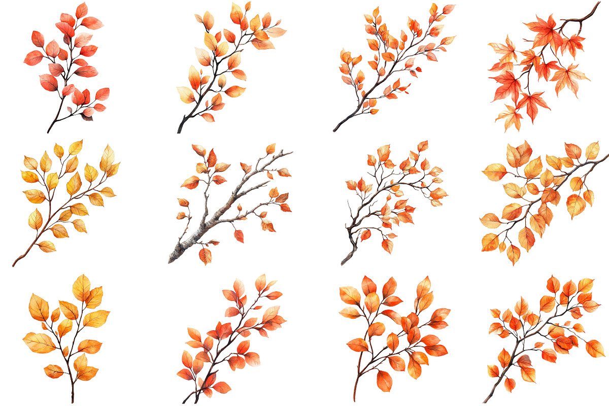 Botanical Fall Branches Clipart, an Illustration by Pixels.Craft (Photo 4 of 5)