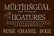 Prestigea, a Serif Font by Dora Typefoundry (Thumbnail 10 of 10)