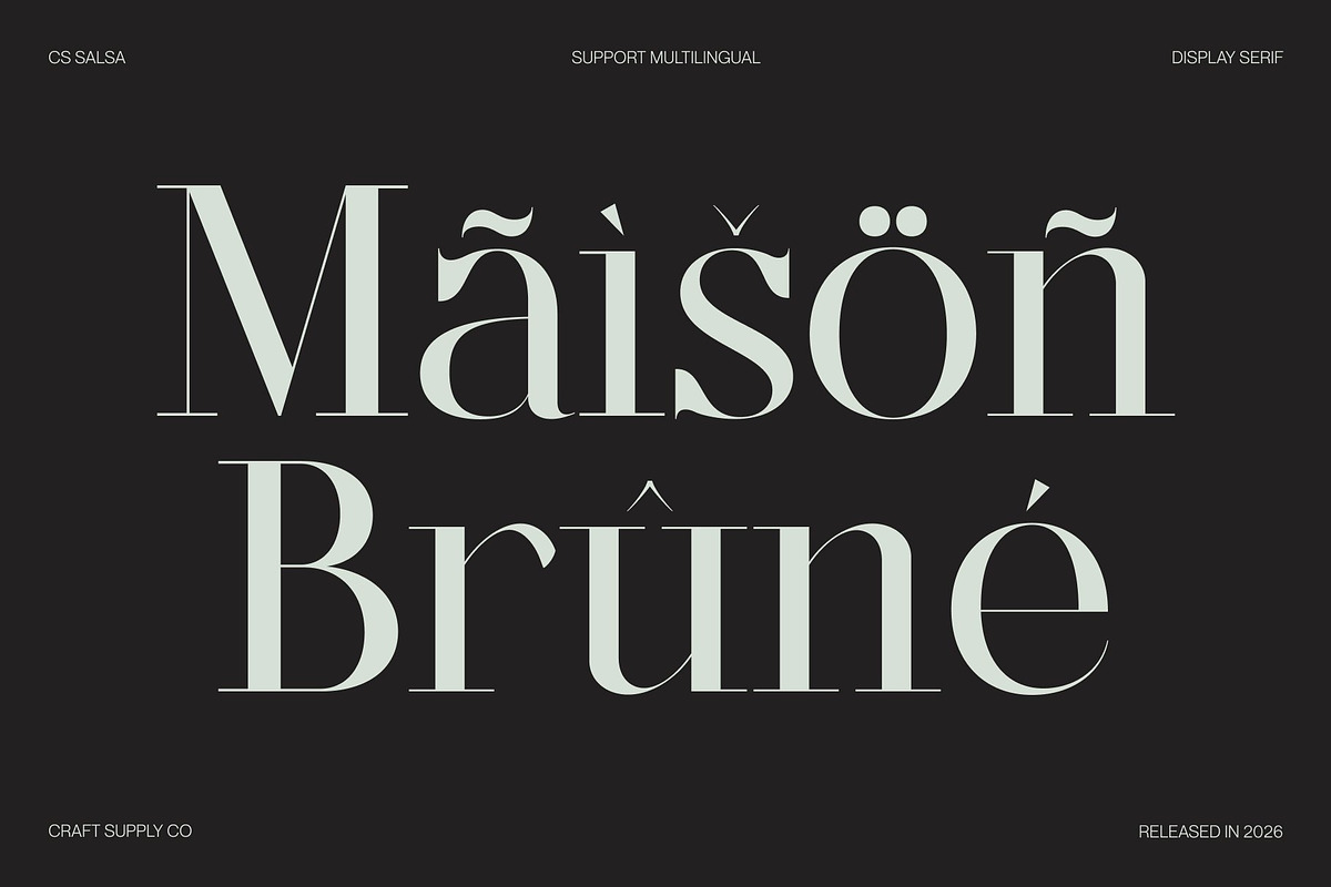 CS Salsa – Elegant Serif Font, a Serif Font by Craft Supply Co. (Photo 7 of 8)