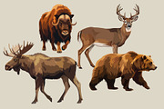 Animals of North America Vector Set, an Animal Illustration by Katerina Peres (Thumbnail 7 of 8)