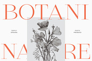 Qiona Elegant Modern Serif Font, a Serif Font by timelesstype.co (Thumbnail 5 of 20)