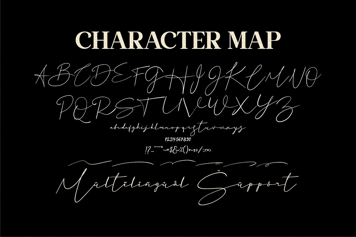 Basstian Signature LS, a Script Font by GranzCreative (Photo 3 of 18)