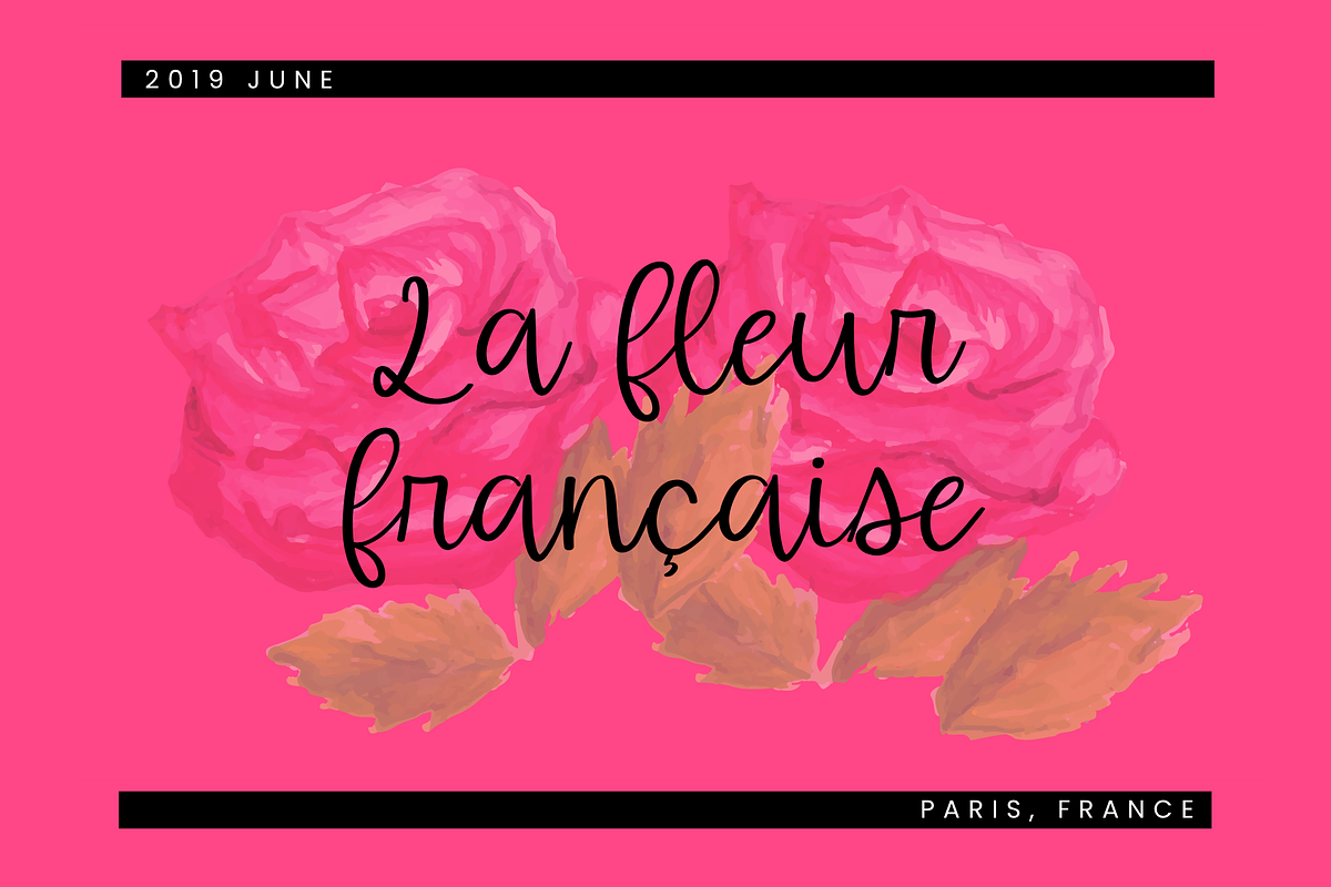Nougat Dreams, a Script Font by Sofia Skoog (Photo 5 of 10)