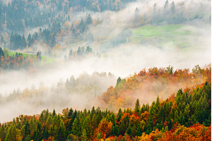 Misty autumn mountain landscape at