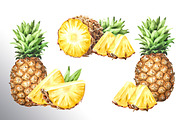 Tropical Pineapple. Hand painted, a Food Illustration by Daria Ustiugova (Thumbnail 6 of 28)