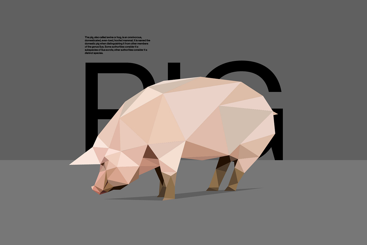Farm Animals Pack in Low Poly Style, an Illustration by Volkan Aydemir (Photo 10 of 12)