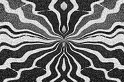 Wild Stripes, a Texture Graphic by Jennifer Lauren Creative (Thumbnail 14 of 16)