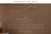Kingdom Estella Font Duo, a Serif Font by Storytype Studio (Thumbnail 14 of 15)