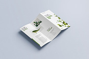 Trifold Brochure Mockup, a Print Template by mockupatelier (Thumbnail 4 of 15)