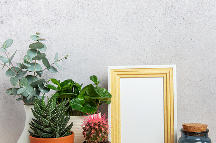 Modern home decor with blank picture frame, plants, and candle o, a Nature Photo by Olena Rudo