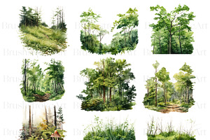 Watercolor Forest Clipart, Woodland