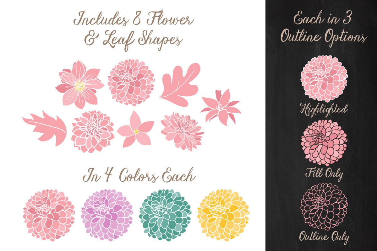 Summer Dahlia Vectors & Clipart, an Illustration by Amanda Ilkov (Photo 3 of 4)