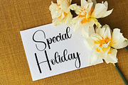 Festive Write, a Handwritten Font by InermediaSTUDIO (Thumbnail 8 of 8)