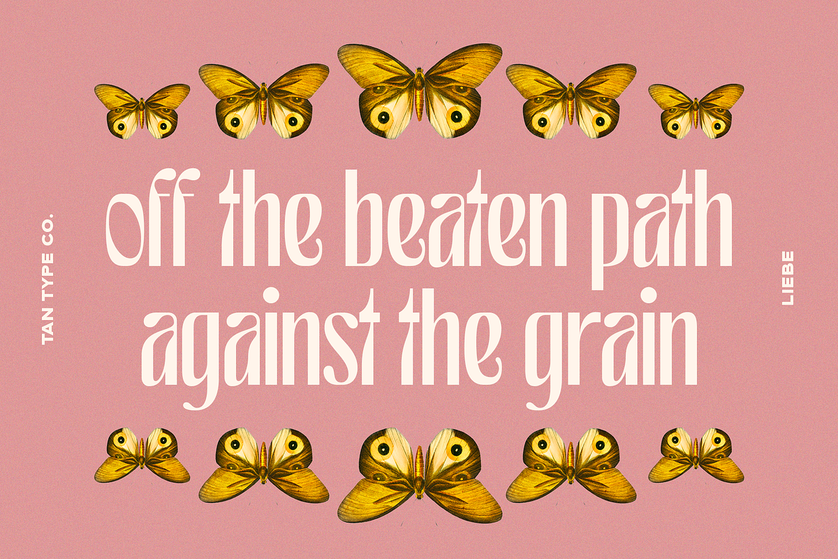 TAN - LIEBE, a Font by TanType (Photo 7 of 12)