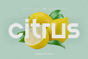 Blont | Modern & Clean Logo Font, a Sans Serif Font by 160 Studio (Thumbnail 3 of 13)