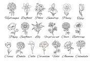 20 Vector flowers, an Illustration by Mallinka (Thumbnail 4 of 4)