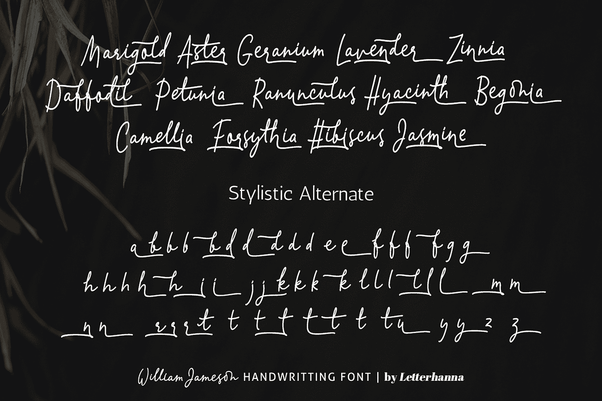 William Jameson Font, a Handwritten Font by Letterhanna Studio (Photo 4 of 15)