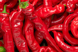 Fresh ripe red chili peppers lie in a tight pile., a Food & Drink Photo by ndanko