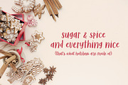 Sugar & Spice Font Duo, a Script Font by Brittney Murphy Design (Thumbnail 5 of 8)