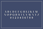 Lavish Times - Serif Font Family, a Serif Font by dylanchiadesigns (Thumbnail 6 of 7)